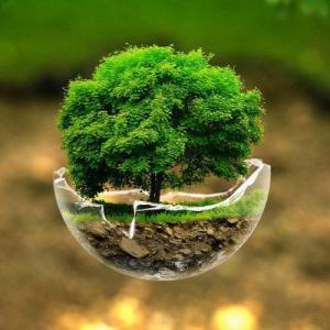 Conscientização ambiental é na Coneflan Conscientização ambiental é na Coneflan